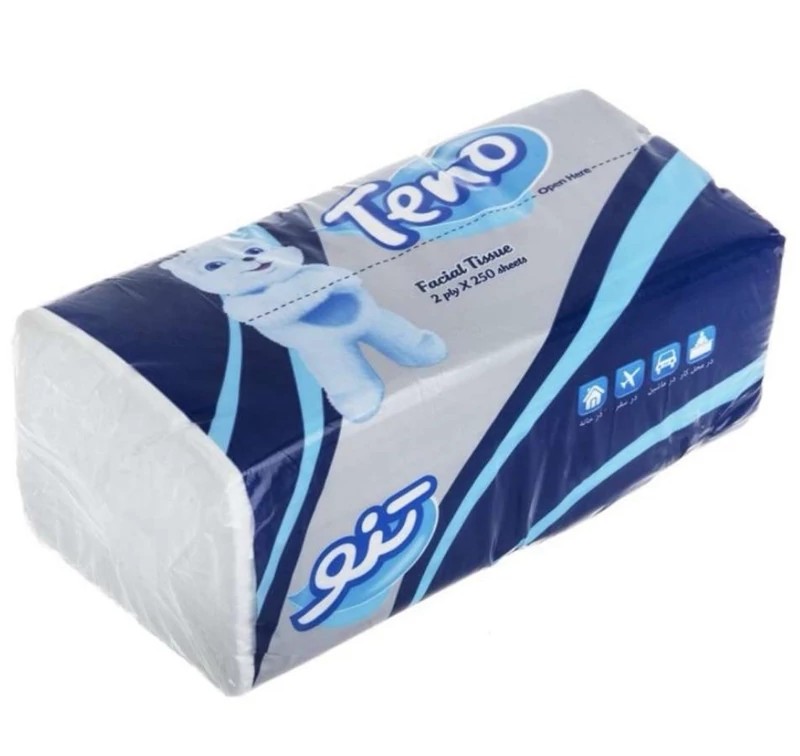 تنو دستمال کاغذی اقتصادی 250برگ دولا